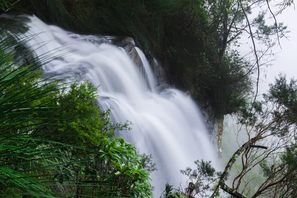 Goomoolahra Falls no Parque Nacional de Springbrook — Fotografia de Stock