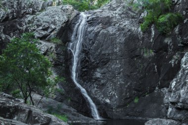 Cedar Creek Falls'ta dağ Tamborine