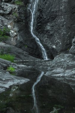 Cedar Creek Falls'ta dağ Tamborine