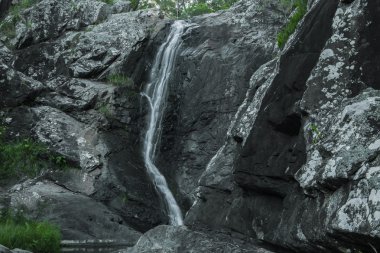 Cedar Creek Falls'ta dağ Tamborine
