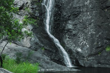 Cedar Creek Falls'ta dağ Tamborine