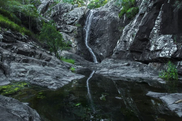 Cedar Creek Falls em Mount Tamborine — Fotografia de Stock