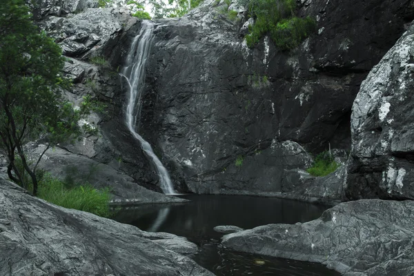 Кедр Creek Falls в гору Надіслати ці готелі вашим — стокове фото