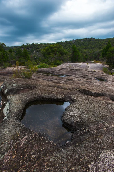 Girraween parque nacional — Fotografia de Stock