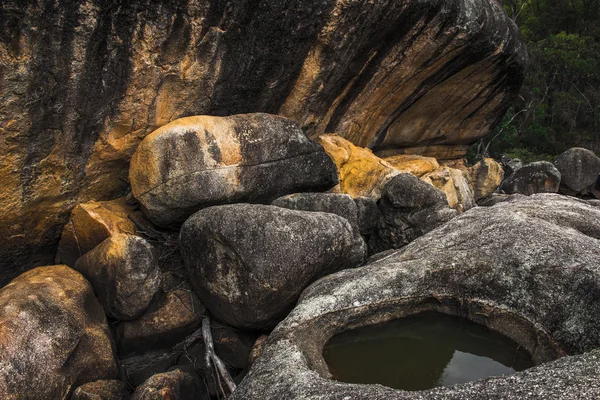 Girraween parque nacional — Fotografia de Stock