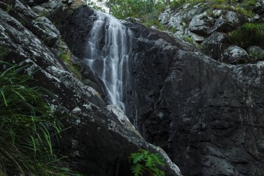Cedar Creek Falls'ta dağ Tamborine