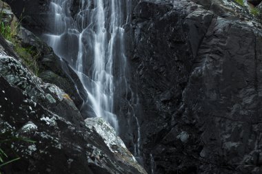 Cedar Creek Falls'ta dağ Tamborine