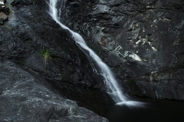 Cedar Creek Falls'ta dağ Tamborine