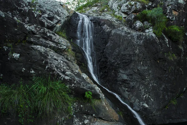 Κέδρος Falls Creek στη θολωτή — Φωτογραφία Αρχείου