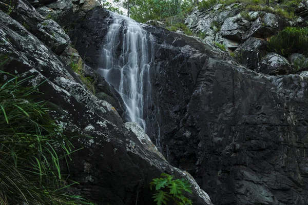 Cedar Creek Falls nel Monte Tamborine — Foto Stock