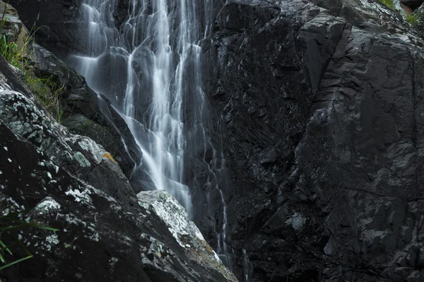 Cedar Creek Falls'ta dağ Tamborine
