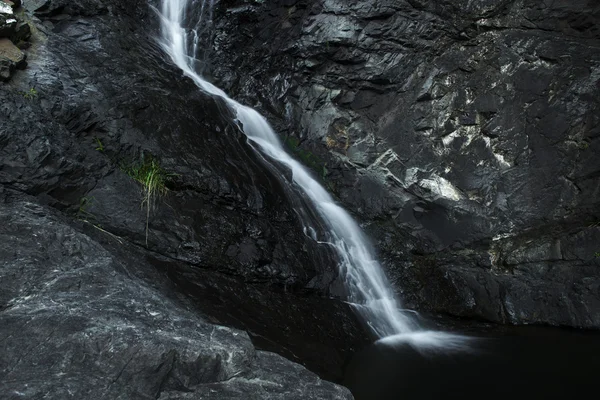 Cedar Creek Falls em Mount Tamborine — Fotografia de Stock
