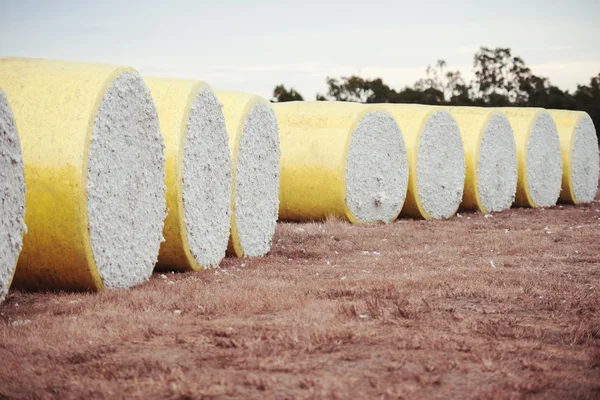 Pacas de algodón en Oakey, Queensland —  Fotos de Stock