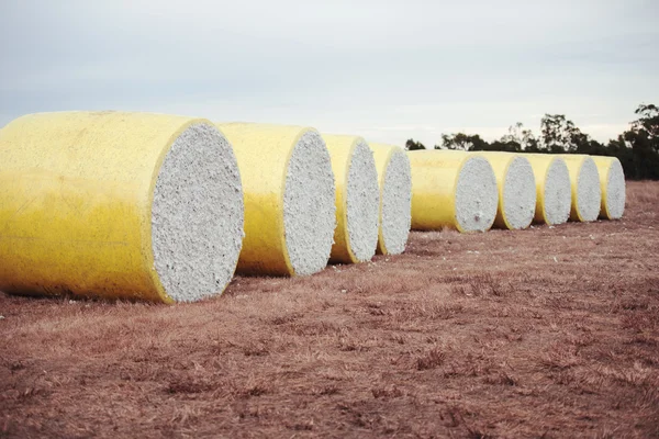 Bales of cotton in Oakey, Queensland Stock Photo