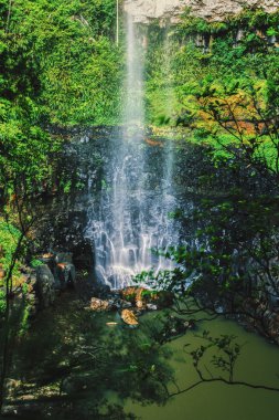 Bahar çayı Falls'ta Purlingbrook