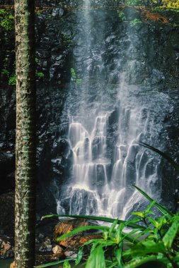 Bahar çayı Falls'ta Purlingbrook