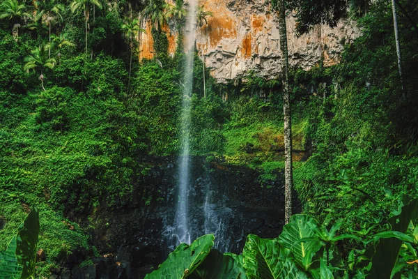 Bahar çayı Falls'ta Purlingbrook