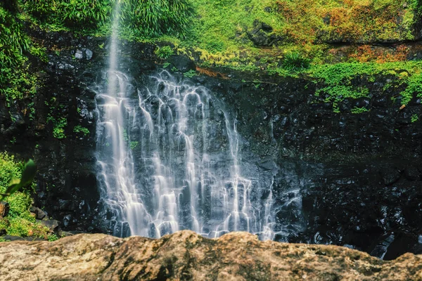 Purlingbrook Falls en Springbrook — Foto de Stock