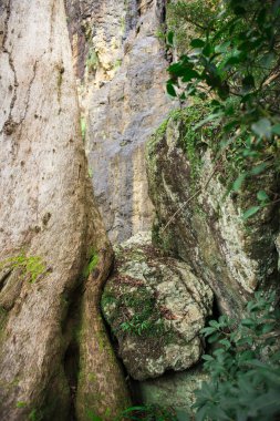 Cliff yüz Bahar Çayı Milli Parkı'nda