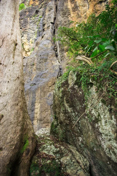Cliff yüz Bahar Çayı Milli Parkı'nda