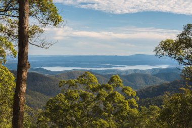 Mount Nebo Outlook'ta Westridge
