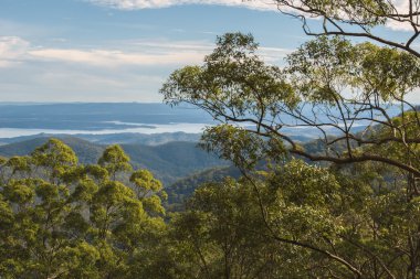 Mount Nebo Outlook'ta Westridge