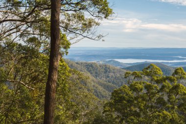 Mount Nebo Outlook'ta Westridge