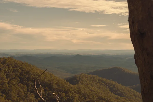 Вид с горы Славный недалеко от Брисбена, штат Квинсленд . — стоковое фото