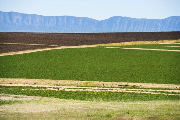 Campo agrícola y agrícola — Foto de Stock