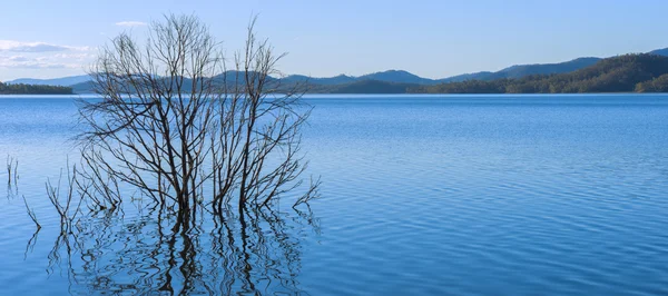 Wivenhoe jezero v Queenslandu během dne — Stock fotografie