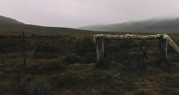 Campo paludoso sulla montagna — Foto Stock