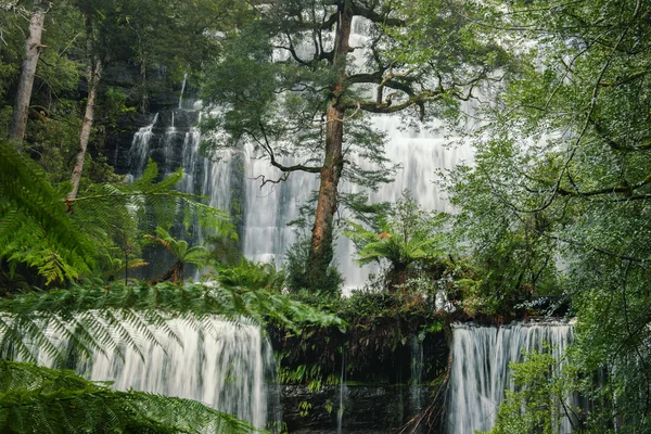 Рассел Falls в гору поле Національний парк. — стокове фото