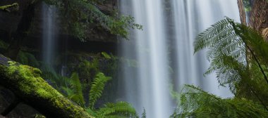 Russel Falls'ta Dağı Milli Park alanı.