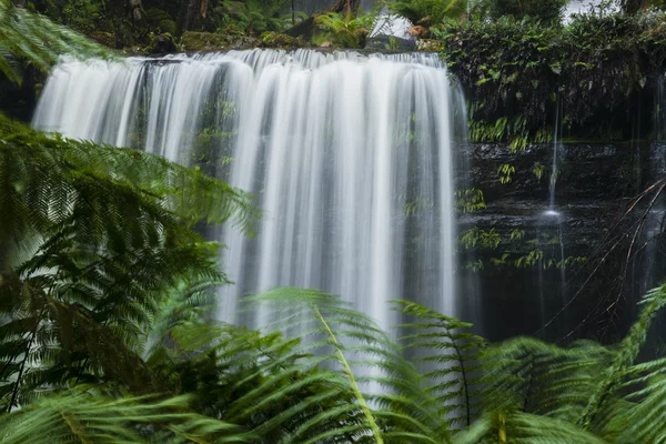 Russel Falls en el Parque Nacional Mount Field . —  Fotos de Stock