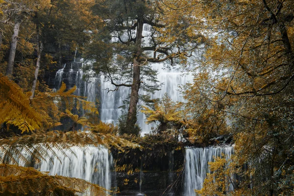 Russel Falls in Mount Field National Park. — Stock Photo, Image