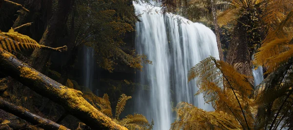 Russel Falls in Mount Field National Park. — Stock Photo, Image