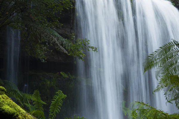 Russel Falls en el Parque Nacional Mount Field . —  Fotos de Stock