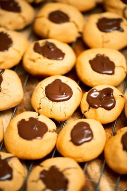 Çikolatalı fındıklı bisküviler pişirmeye hazırlanıyor..