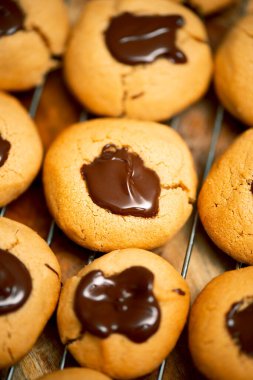 Çikolatalı fındıklı bisküviler pişirmeye hazırlanıyor..