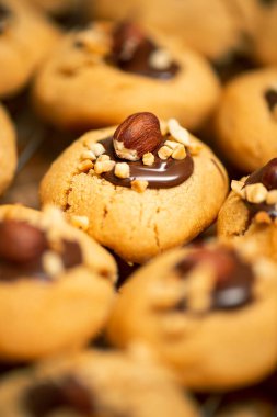 Çikolatalı fındıklı bisküviler yeni pişirildi..