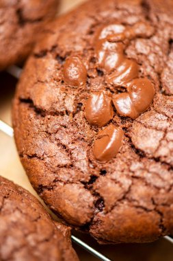 Klasik çikolata parçalı kurabiyeler taze pişmiş, yemek arkaplanı..