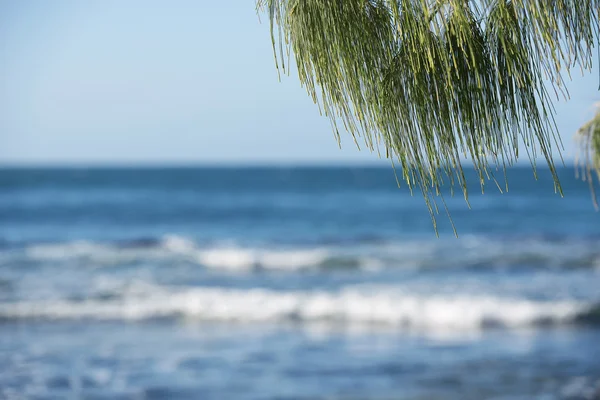 Playa por la tarde . —  Fotos de Stock