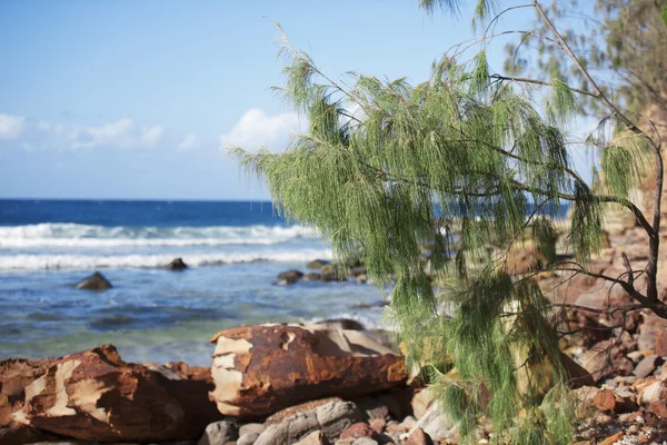 Playa por la tarde . — Foto de Stock