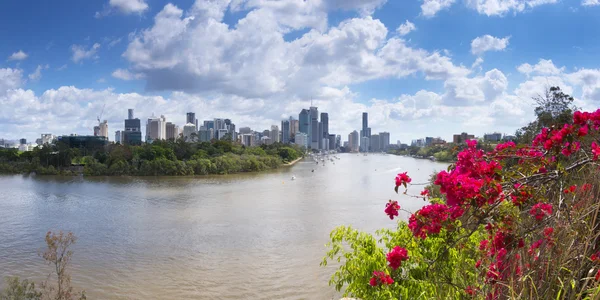 Brisbane, Australia - 26th September, 2014: View from Kangaroo point in Brisbane where tourists visit to see the city and families bbq.  — 图库照片