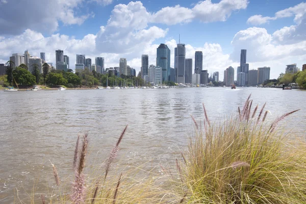 Brisbane, Australia - 26th September, 2014: View from Kangaroo point in Brisbane where tourists visit to see the city and families bbq.  — Φωτογραφία Αρχείου