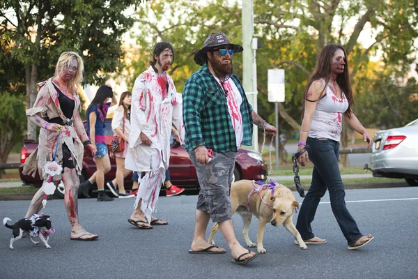 Brisbane, Queensland, Australia - 5 de octubre de 2014: Caminata anual de zombis de la fundación del cerebro 5 de octubre de 2014 en West End, Brisbane, Australia . — Foto de Stock