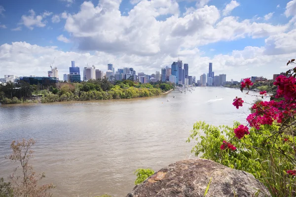 布里斯班，澳大利亚 2014 年 9 月 26 日: 从袋鼠视点俯瞰布里斯班市和河在白天. — 图库照片