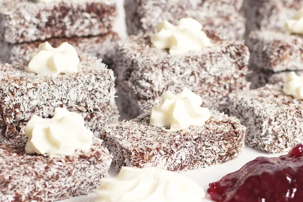 Grupa Lamingtons — Zdjęcie stockowe