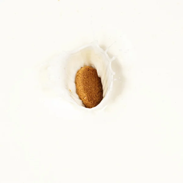 Milk Splash with a biscuit — Stock Photo, Image