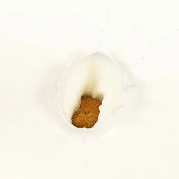 Süt sıçrama ile bisküvi — Stok fotoğraf